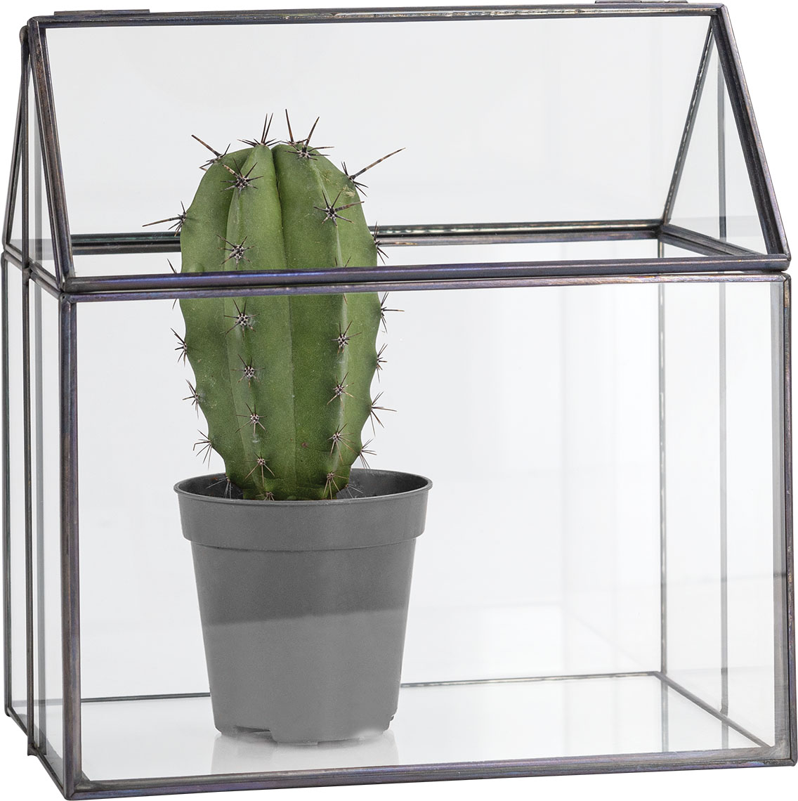 Mini greenhouse Nuo