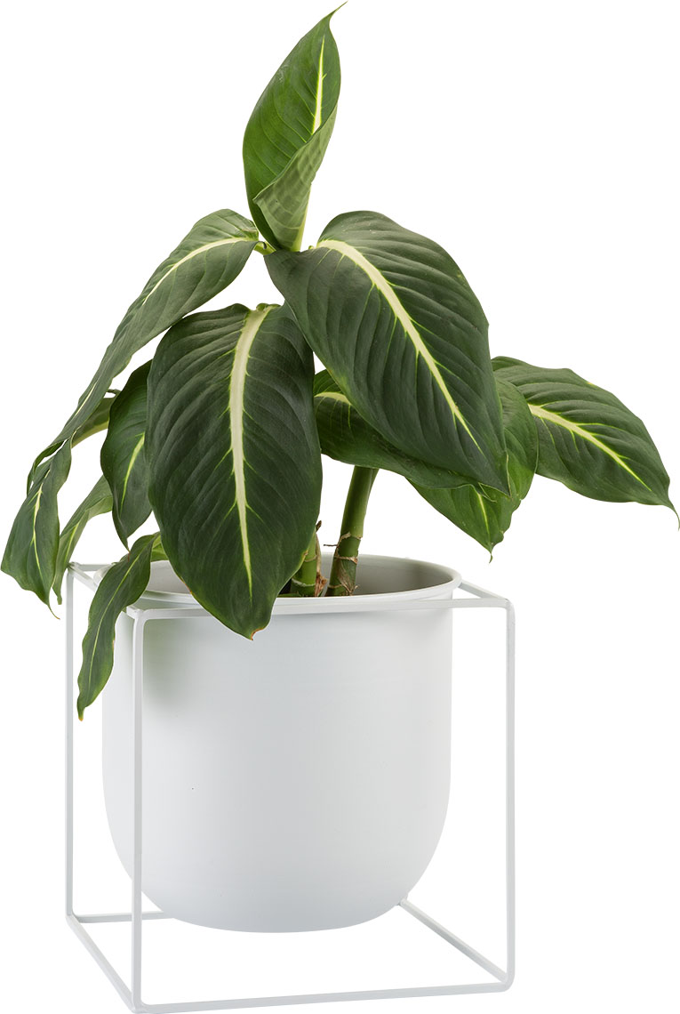 Plant pot Ovo white