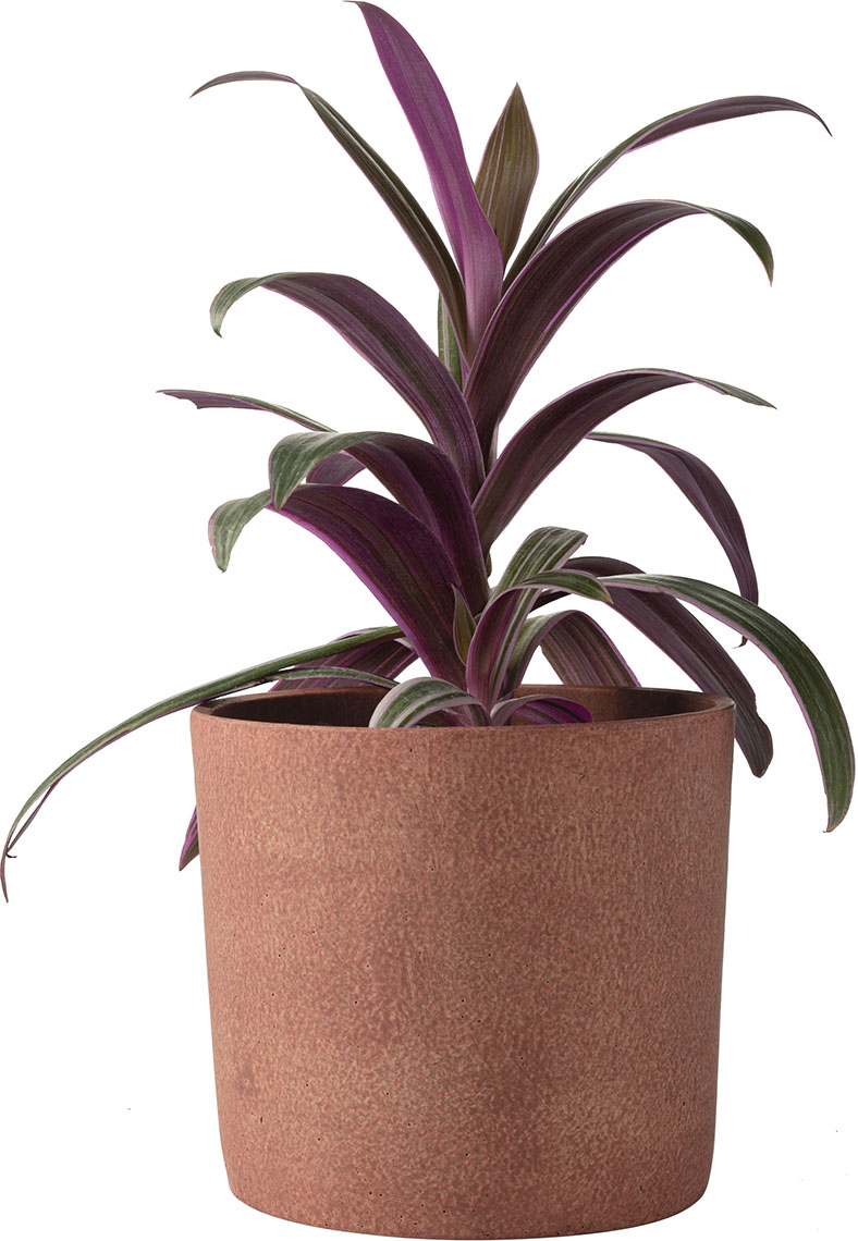 Medium plant pot Redo